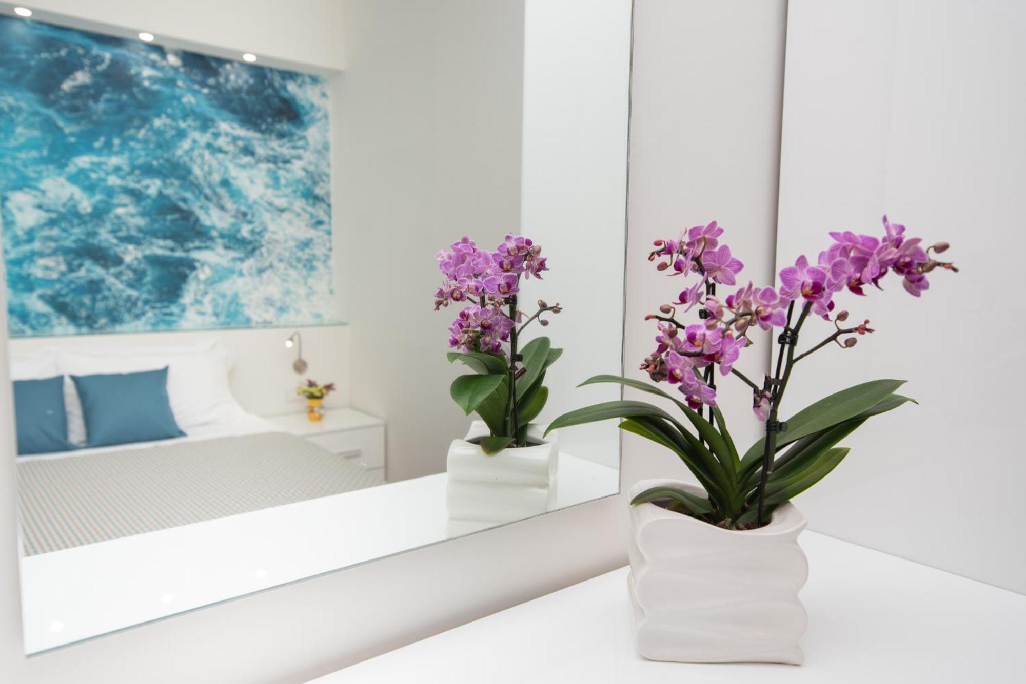 Altamarea Apartment Amalfi Coast 马奥莱 外观 照片